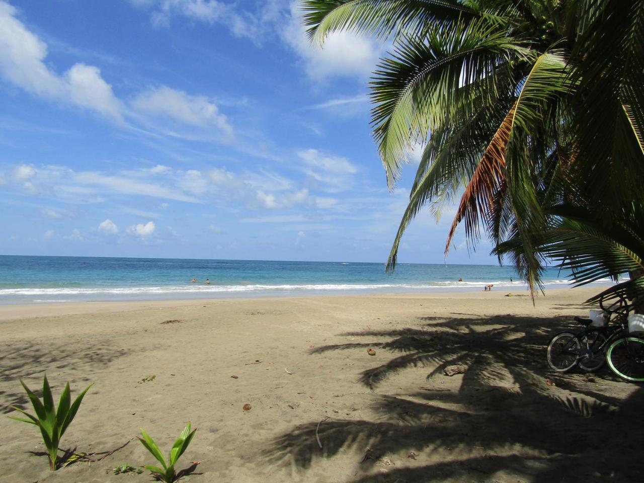 Pineapple House Manzanillo Villa Buitenkant foto